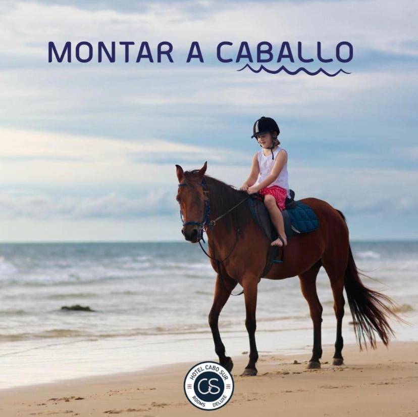 Boutique Cabo Sur Hotel *